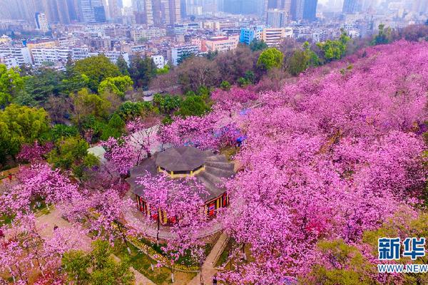 旅游订单暴涨三倍！这国旅客迷上中国游